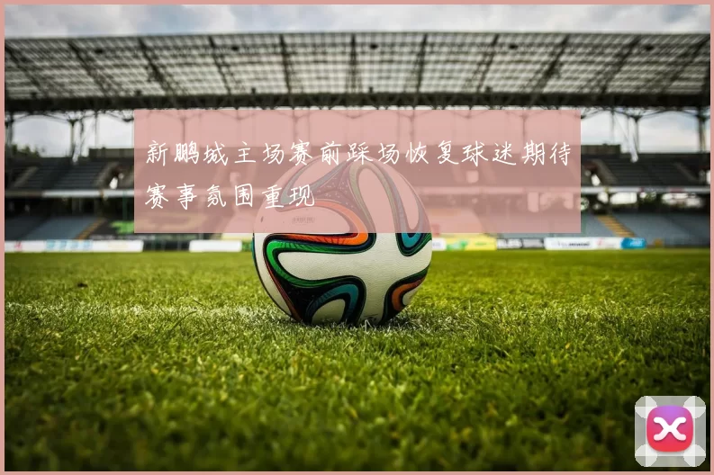 新鹏城主场赛前踩场恢复球迷期待赛事氛围重现